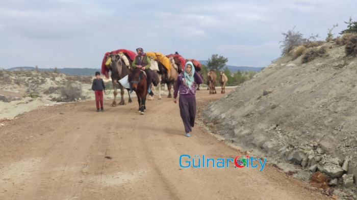Sarıkecililer