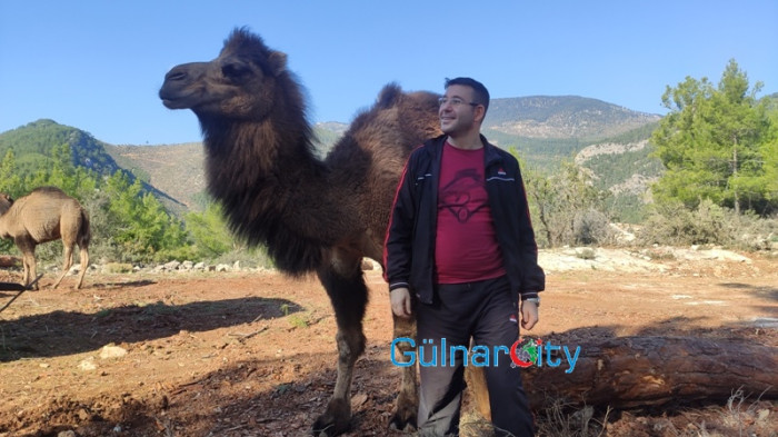 Sarıkecililer