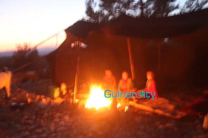Sarıkecililer
