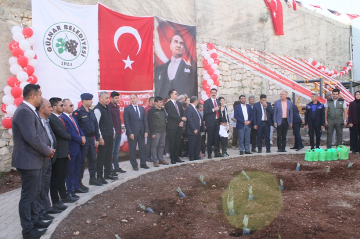 100.Yıla Özel 100 Çınar Fidanı Dikildi