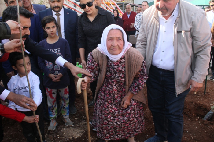 100.Yıla Özel 100 Çınar Fidanı Dikildi