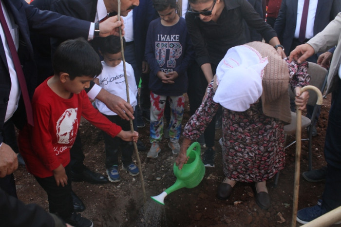 100.Yıla Özel 100 Çınar Fidanı Dikildi