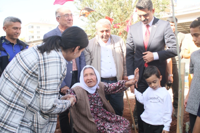100.Yıla Özel 100 Çınar Fidanı Dikildi