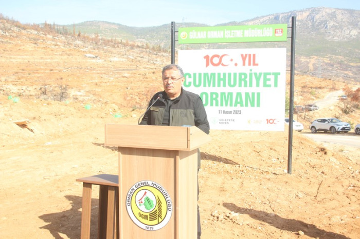 Kavakoluğu Mahallesinde Fidan Dikimi