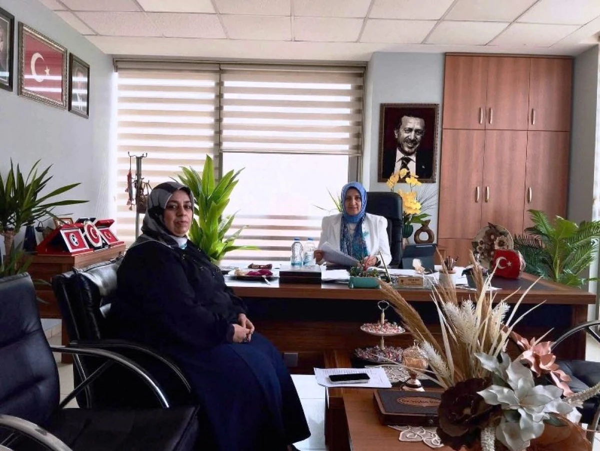 AK Parti Mersin İl Teşkilatında Kadın Kolları İstişare Toplantısı Ger&ccedil;ekleştirildi