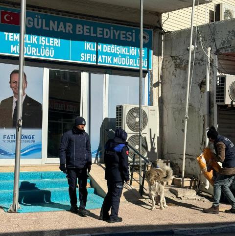 Gülnar Belediyesi -5 Derece Soğuk Havada Sokaktaki Canlıları Unutmadı 