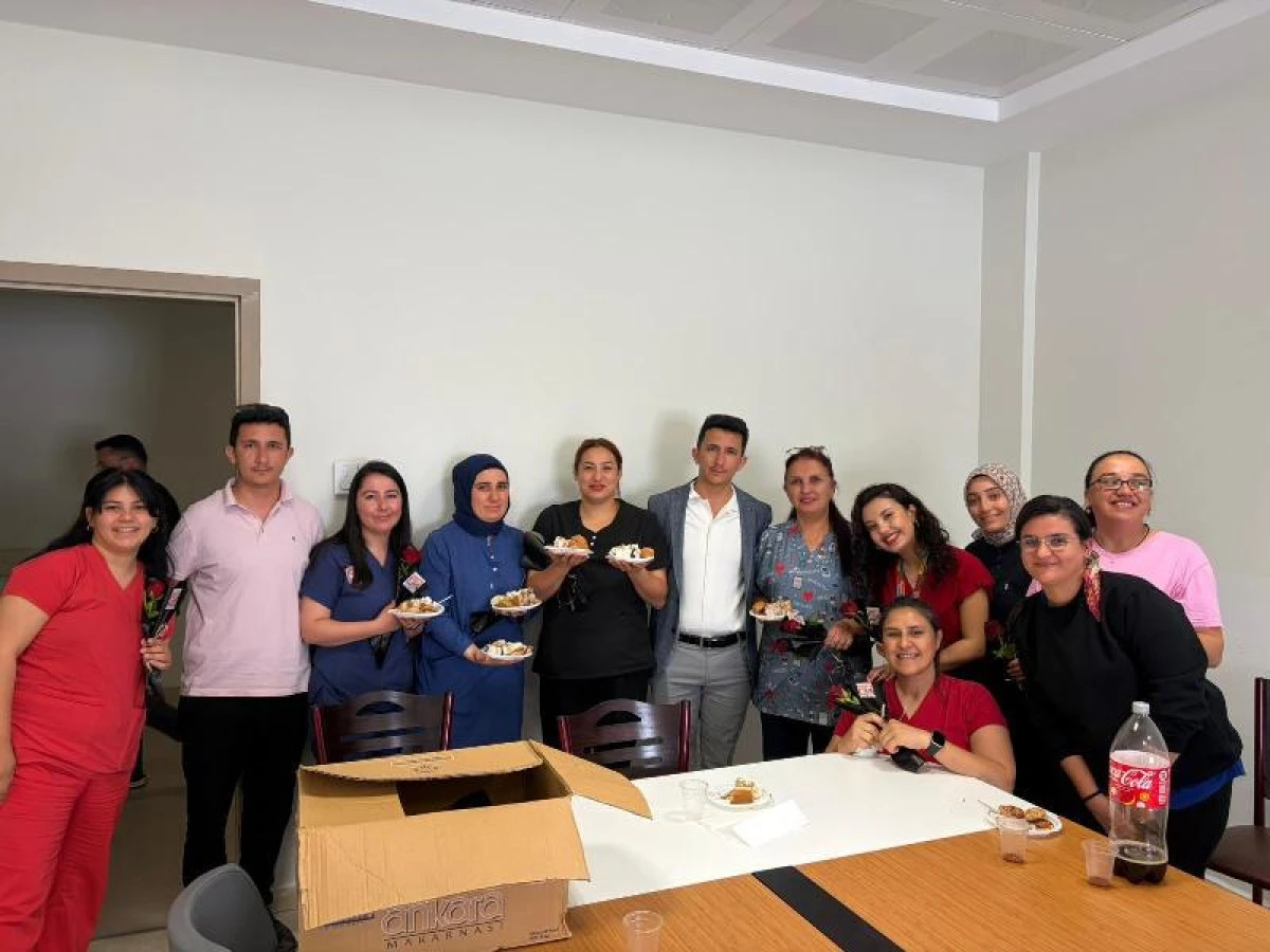 Hemşireler G&uuml;n&uuml; G&uuml;lnar&rsquo;da G&uuml;l Dağıtıldı