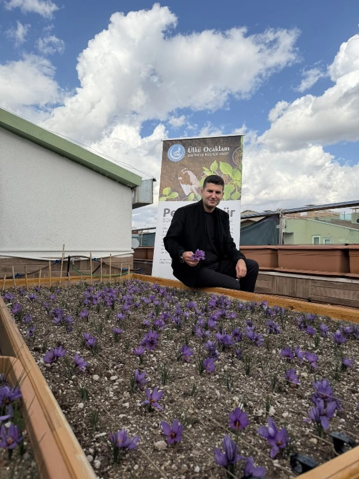 Ülkü Ocakları Genel Merkezi’nin Terasında Safran Hasadı!