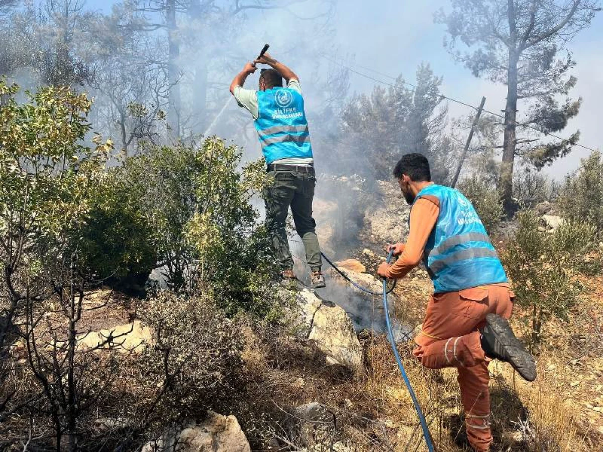Ülkü Ocakları Yangın Bölgesinde Devletle Koordineli Çalışıyor